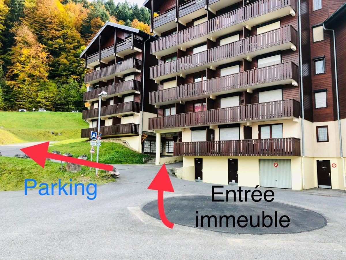 Studio 4 Personnes A 80M Des Pistes De Ski Saint-Jean-dʼAulps Exterior foto